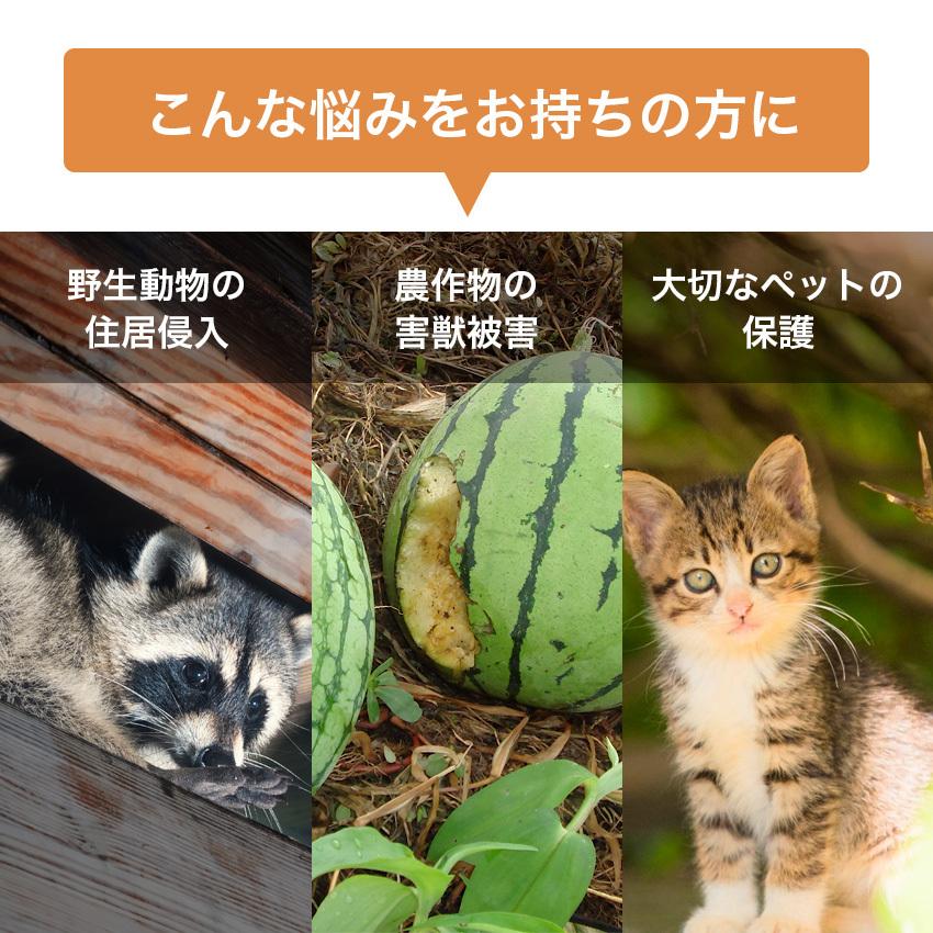 捕獲機 捕獲器 猫 犬 捕獲 Mサイズ 踏板式 迷子猫 迷子 野良 野生 動物 保護