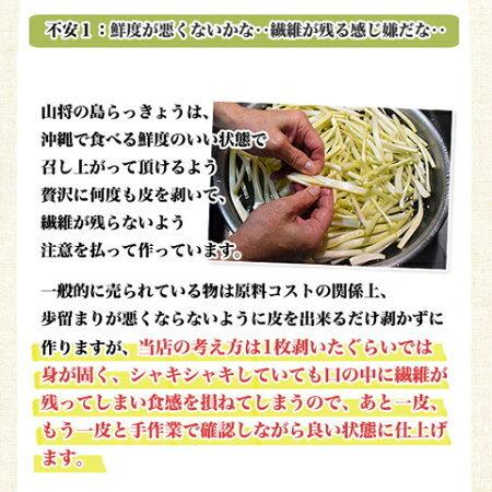 島らっきょう 塩漬け 塩らっきょう キムチ味 250g