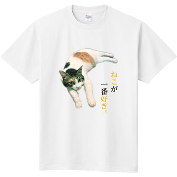 最愛貓咪。002