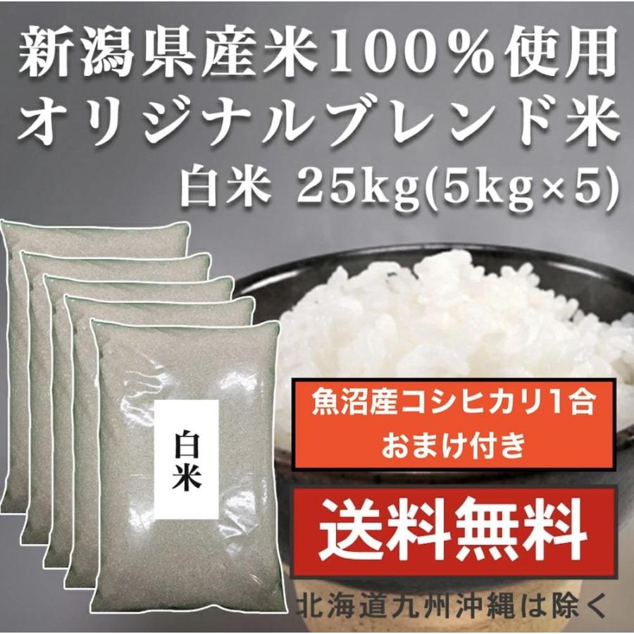 白米 25kg（5kg×5） 送料無料 新潟県産 オリジナルブレンド米 お米