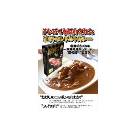 ふるさと納税 岐阜県 覇楼館・飛騨牛カレー1人前(250g)×14個セット