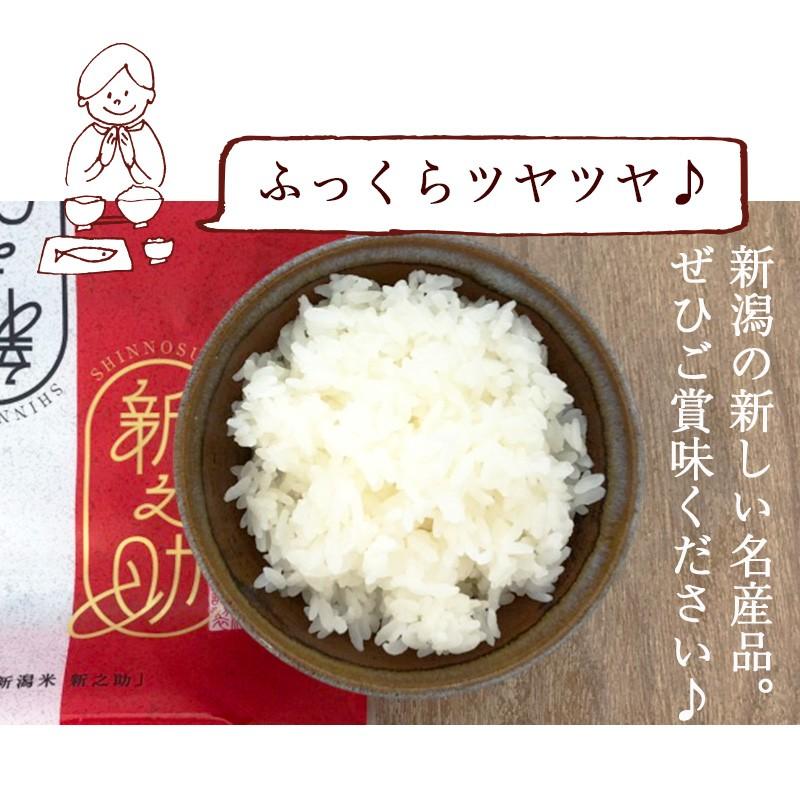 お米 900g 新潟産新之助 チャック付パック しんのすけ 条件付送料無料 令和５年産  ギフト 内祝い