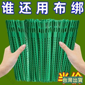 台灣出貨【免運】可調節魚骨紮帶捆綁綫多用途園林綁樹藤蔓植物固定園藝可拆卸紮綫 VCZF