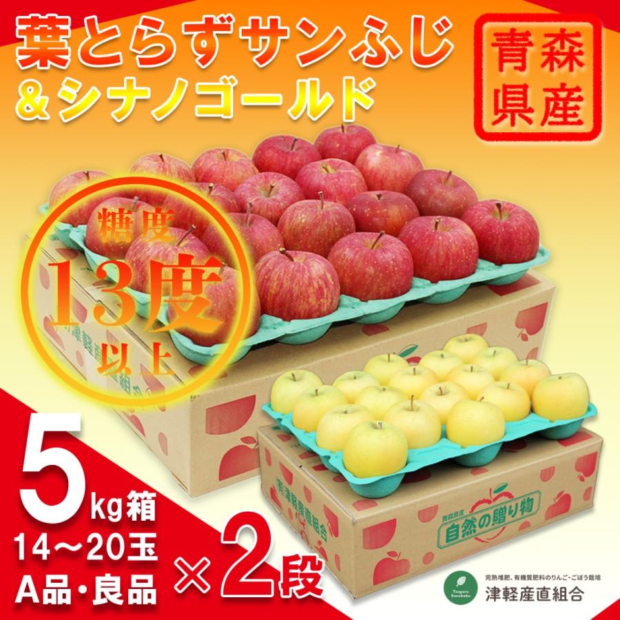 2品種まとめて！A品 シナノゴールド 5キロ箱 14〜20玉＆糖度13度以上 A品 葉とらずサンふじ 5キロ箱 14〜20玉 青森県産 津軽りんご 津軽産直組合