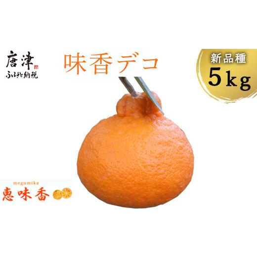 ふるさと納税 佐賀県 唐津市 『予約受付』糖度が高すぎッ！味香デコ 5kg 新品種 果皮も美味しく食べられる！フルーツ 果物 デザート 柑…