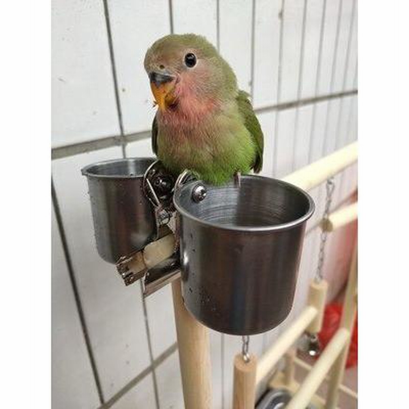 オウムにもインコにも♪ 止まり木スタンド 遊び場 ペット 文鳥