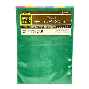 Raymay 藤井 Davinci 6色索引分隔板 易於分類檢索 148x215mm  綠色  1本