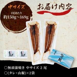 ふるさと納税 a5-223 鹿児島県産 伊崎田のうなぎ蒲焼 中＜150g以上＞× 2尾(計300g以上)  鹿児島県志布志市