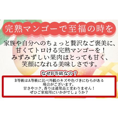 ふるさと納税 予約受付！数量限定！＜宮崎県産 完熟マンゴー B等級 4Lサイズ×1玉（約500g〜650g前後）＞2024年4月下旬〜2024.. 宮崎県国富町