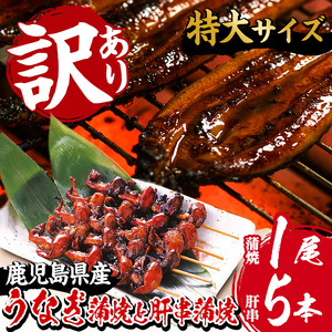 訳あり！鹿児島県産うなぎ蒲焼 特大 190g超 と うなぎの肝串1袋（5本入り） 訳ありうなぎの蒲焼 うなぎ 鰻 ウナギ 国産 鹿児島県産 うなぎの蒲焼のタレ付き