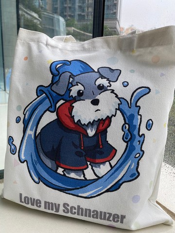 史納莎雙面帆布袋