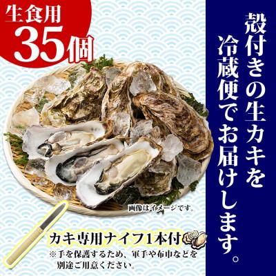 ふるさと納税 釧路町 殻付き牡蠣 仙極かき 35個 生食用(かきナイフ付) 冷蔵 北海道釧路町