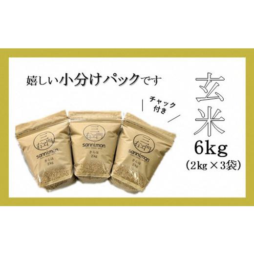 ふるさと納税 岩手県 二戸市 甘くてもっちり 冷めても美味しいお米「きらほ」玄米 岩手県 二戸市