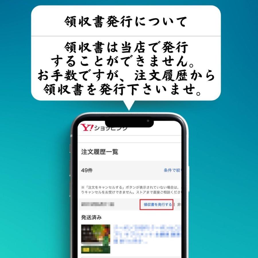 シャトーブリアン ×2 ギフト ヒレ ステーキ ×3 氷温熟成 国産 牛 焼肉 赤身 肉 セット 御歳暮 御年賀