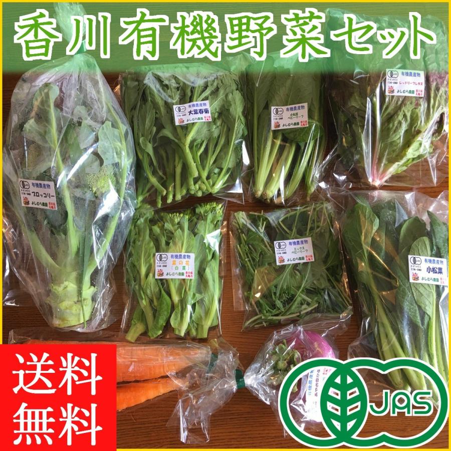 香川産 有機野菜セット ライトコース 7~8品 旬の野菜詰め合せ オーガニック JAS 誕生日 ギフト プレゼント