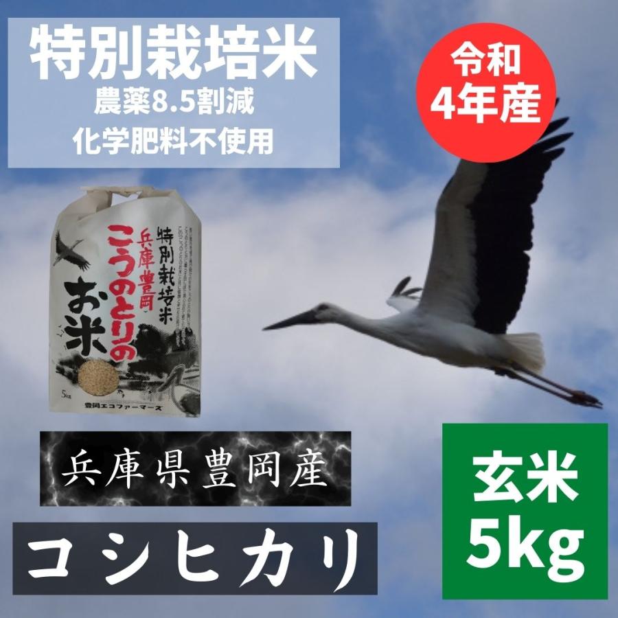 令和5年新米 コシヒカリ 兵庫県 豊岡市 玄米5kg　特別栽培米 減農薬 コウノトリのお米