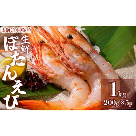 ふるさと納税 超速リキッド凍結でドリップゼロ！北海道羽幌産生鮮ぼたんえび 1kg（200g×5パック） 北海道羽幌町