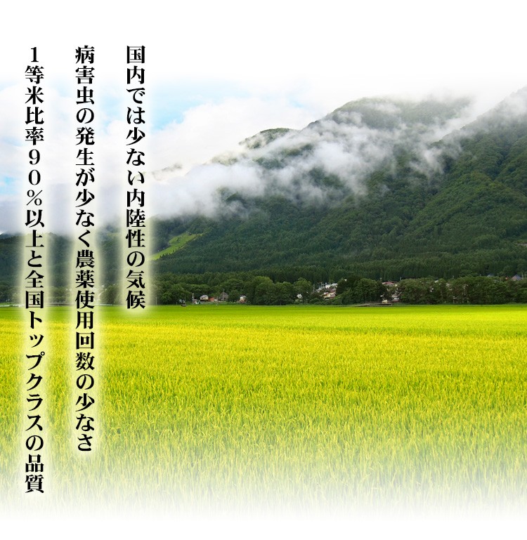 新米 無洗米 2kg ミルキークイーン 長野県産 令和5年産 1等米 ミルキークイーン お米 2キロ  安い