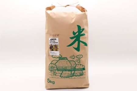 米 『定期便』厳選宮城ひとめぼれ 精米5kg 全12回 [菅原商店 宮城県 加美町 44580971]