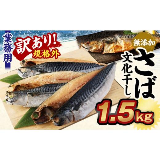 ふるさと納税 茨城県 神栖市  業務用 無添加さば文化干し 1.5kg 鯖 さば 干物 魚