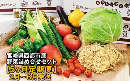 西都市旬の特産詰め合わせセット　野菜・マンゴー・スイートコーン等＜6-18＞