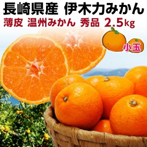 みかん 伊木力 長崎 早生 温州ミカン 秀品 2.5kg 産直 甘い蜜柑 贈答用 Y常