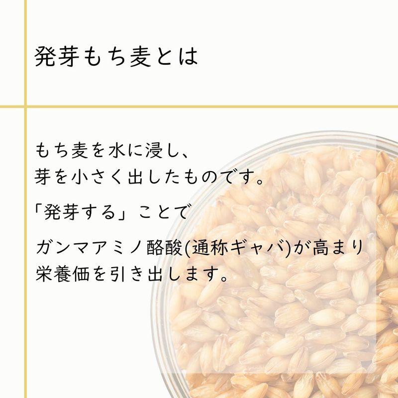 はくばく 国産「発芽もち麦＋16穀」 450g