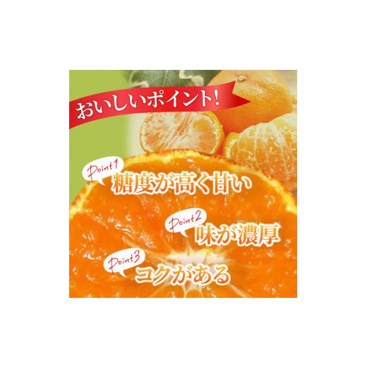 ふるさと納税 香川県 三豊市 M02-0055_温室さぬき紅みかん　約1.2kg