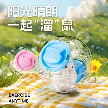 ✨桃園有貨✨【5852人好評】倉跑球跑步靜音運動滾球外出便攜帶用品玩具倉跑輪不卡腳透氣 YO4R
