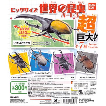 <蛋黃限定>🎋新貨到🎋大尺寸昆蟲世界P3 甲蟲 一套7款 全新現貨!! 萬代 扭蛋!!!