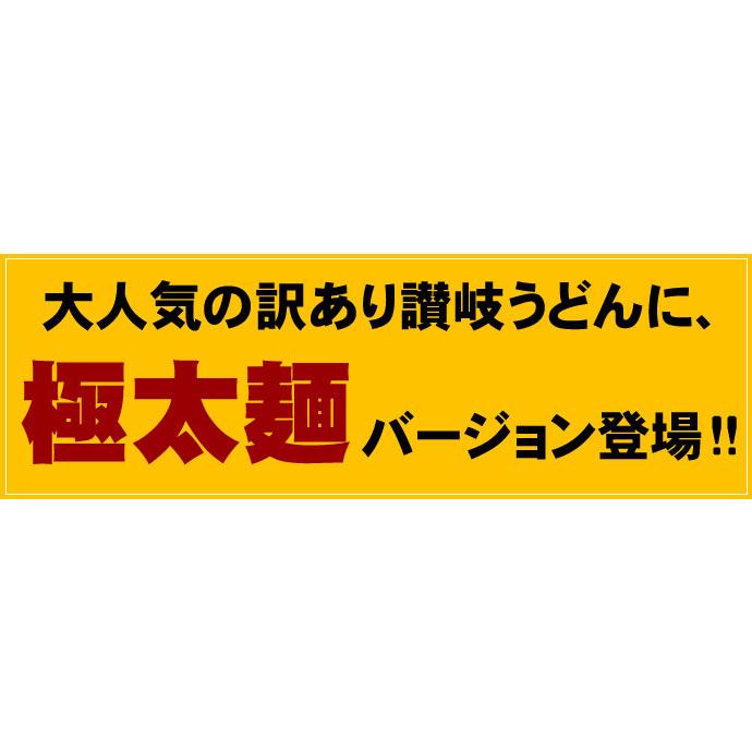 訳あり 半生 極太 讃岐うどん 1000g 極太麺 1kg 約10人前 ポスト投函便での配送(代金引換-後払い不可・着日指定不可)