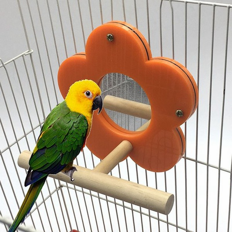 ペット用品 鳥用品 止まり木 おもちゃ 玩具 インコ 鳥 オウム 鏡 ミラー 花 フラワー 木製 ウッド 固定式パーチ ストレス解消 通販 Lineポイント最大0 5 Get Lineショッピング