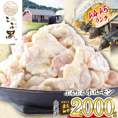 ふるさと納税 新ひだか町 北海道産 黒毛和牛 こぶ黒 ぷるぷるホルモン 計2kg(500g×4パック)