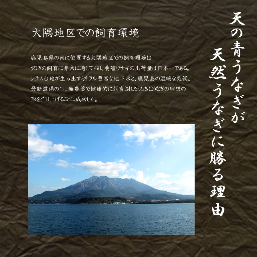 最高級国産ブランドうなぎ二本入り　ギフト可　木箱でお届け　風呂敷付き　ウナギ　鰻　うなぎ国産　蒲焼き　炭焼うな富士　長焼き