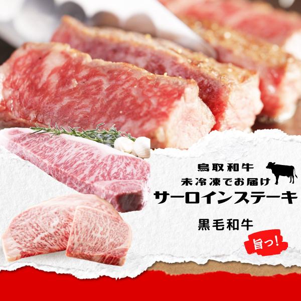 サーロインステーキ 鳥取和牛 （黒毛和牛肉） ロースステーキ 200g×4枚 和牛肉 ギフト 鳥取県産 サーロイン 高級黒毛和牛 送料無料