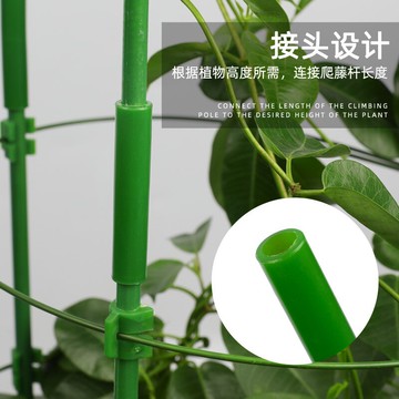 浩銘花架爬藤架月季植物室內園藝花卉支撐桿鐵線蓮爬藤綠植爬藤桿