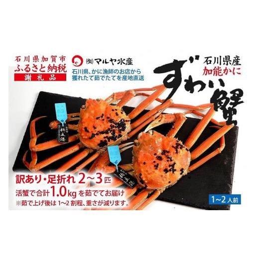 ふるさと納税 石川県 加賀市 石川県産 加能かに／ズワイガニ 産地証明タグ付 訳あり 足折れ 小サイズ 2〜3匹 合計1.0kg ※茹で上げ前重量