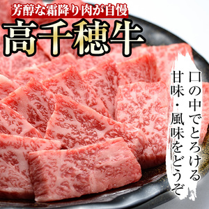 高千穂牛 焼き肉セット(ロース・カルビ各250g)