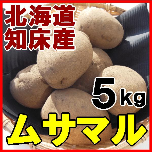 送料無料 新じゃがいも ムサマル ５kg 北海道産 ジャガイモ 産地直送