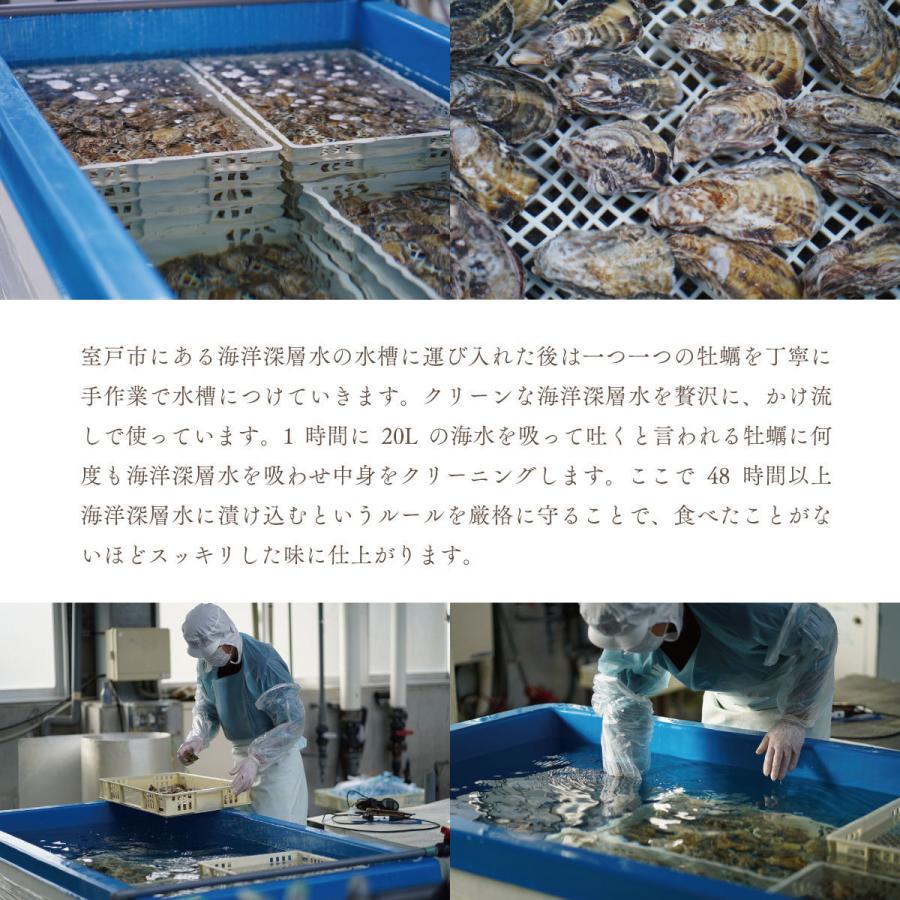 かき 牡蠣 カキ 殻付き牡蠣 12~15個 生食用 プレミアムオイスター 室戸海洋深層水仕込み