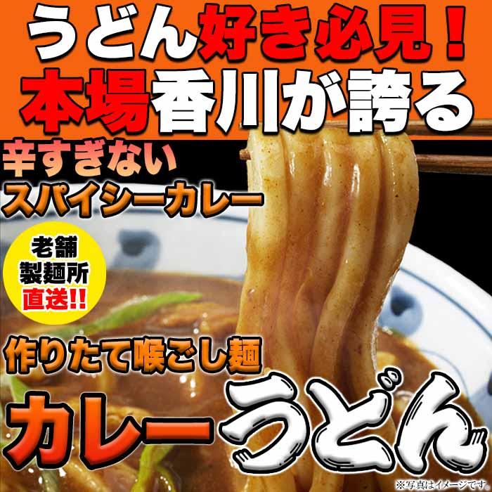 讃岐の製麺所が作る、レンジで簡単！辛すぎないスパイシーなカレーうどん4食(180g×4)-ゆうパケット出荷