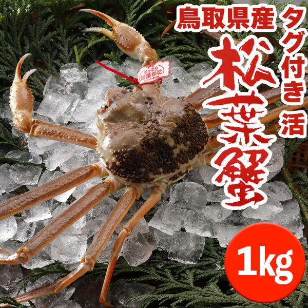 かに 訳あり 松葉活がに 1kg