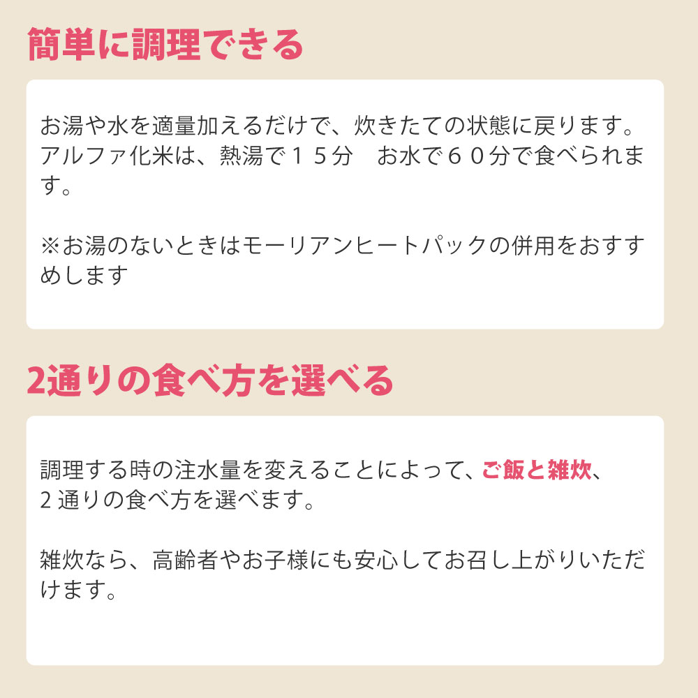 非常食 サタケ マジックライス ドライカレー 10食セット アレルギー対応 5年保存