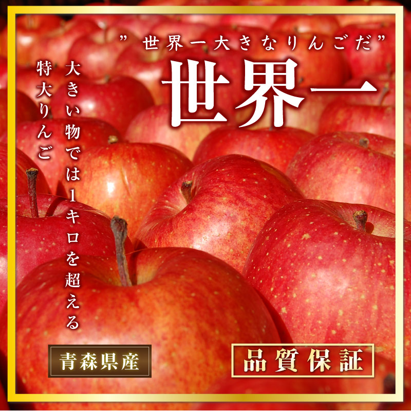 [予約 2023年 11月20日-12月25日の納品] 世界一 2玉 特大玉 青森県産 桐箱 リンゴ 林檎 せかいいち 秋ギフト 冬ギフト 化粧箱 りんご　 冬ギフト お歳暮 御歳暮