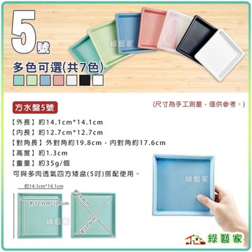 【綠藝家】莫蘭迪色方型水盤5號-多肉透氣四方矮盆水盤 四方盆水盤 底盤 托盤 盛水盤 盆栽 水盤