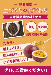 農薬・化学肥料不使用　奄美パッションフルーツ家庭用3kg（35個前後） パッションフルーツ 奄美産 家庭用 3kg 35個～40個前後 栽培期間中農薬・化学肥料不使用 鹿児島 奄美大島 果物 ビタミン 葉酸 トロピカルフルーツ 農家直送