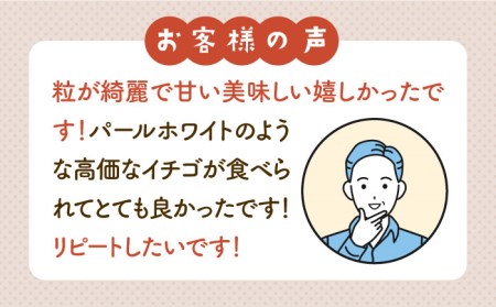 赤白いちご「いちごさん」＆「パールホワイト」化粧箱 約330g以上[IBG001]