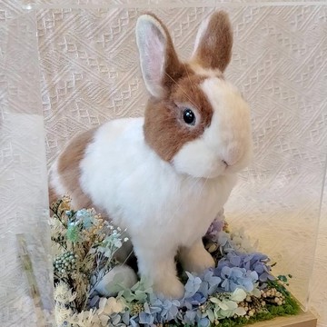 【客製羊毛氈】擬真兔兔展示 (20cm)
