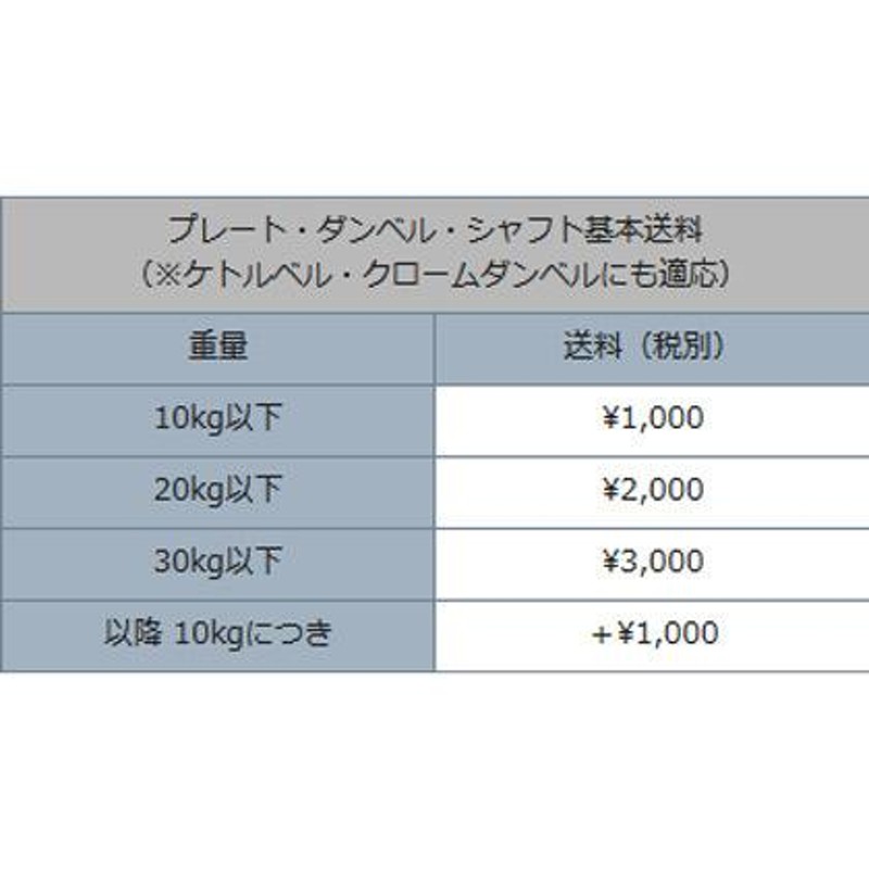 ボディーメーカー　ラバープレート　10kg×2枚