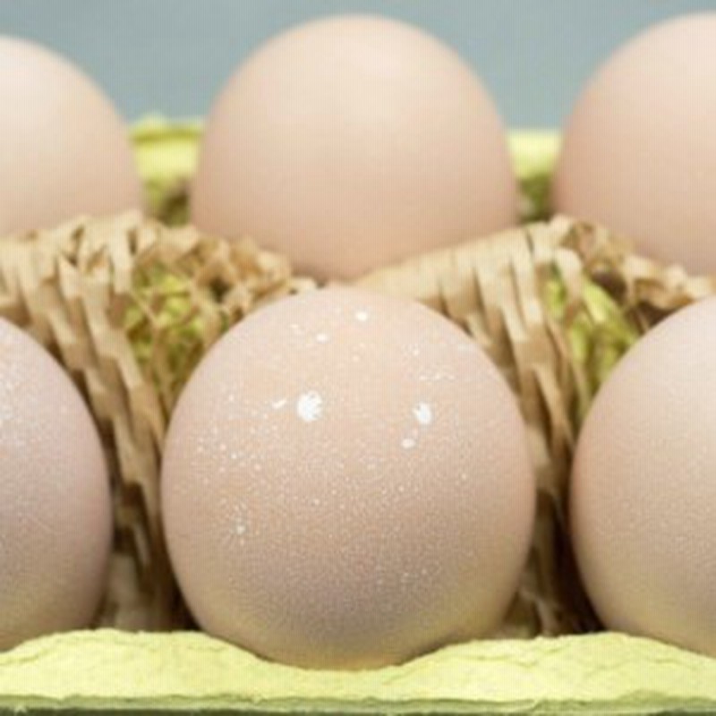 A 29 ゆっくり育てた地鶏の初産みたまご40個セット 通販 Lineポイント最大1 0 Get Lineショッピング